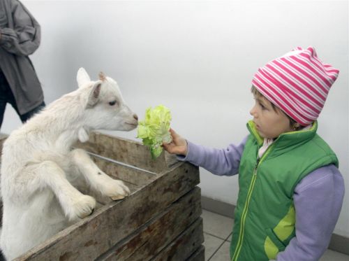 piaccsarnok_husvet_120404_ja_7.jpg