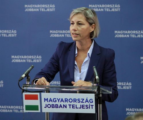 pinter_fidesz_130530ml_05.jpg
