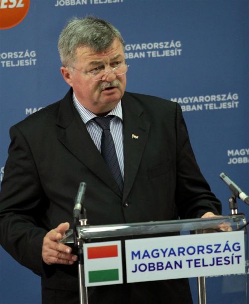 pinter_fidesz_130530ml_06.jpg