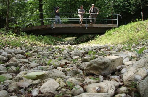 pisztrangtelep-120530_17.jpg