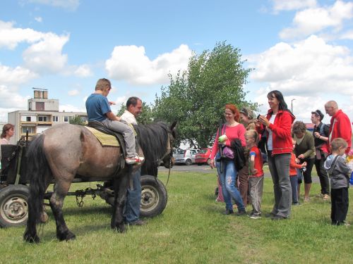 szederuti_ovoda_20_20120601_ki_14.jpg