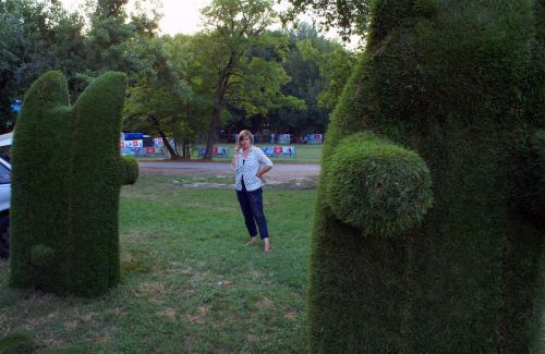 sziget_fuallatok_130806_2.jpg