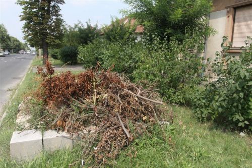 szilagyi_u_110715_ja_2.jpg