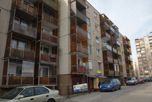 szilvas_1_7_130208_ja_5.jpg