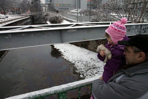 szinva_olajszennyezes_130123ml_08.jpg