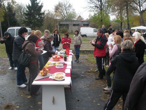 szocialis121113_csl3.jpg
