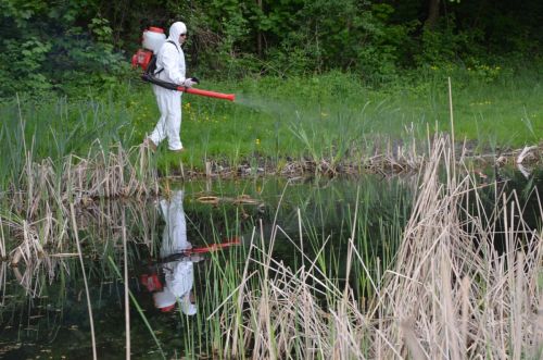 szunyogirtas_130504_fkcs_2.jpg