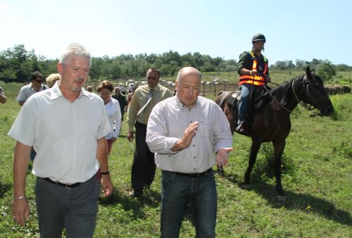 szurkemarha_agrokultura_120731ml_12.jpg