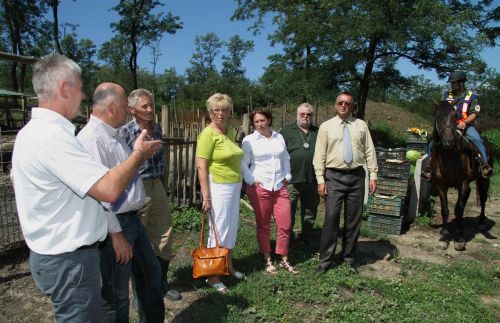 szurkemarha_agrokultura_120731ml_19.jpg