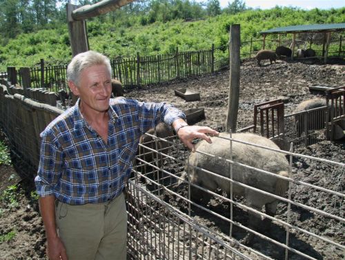 szurkemarha_agrokultura_120731ml_23.jpg