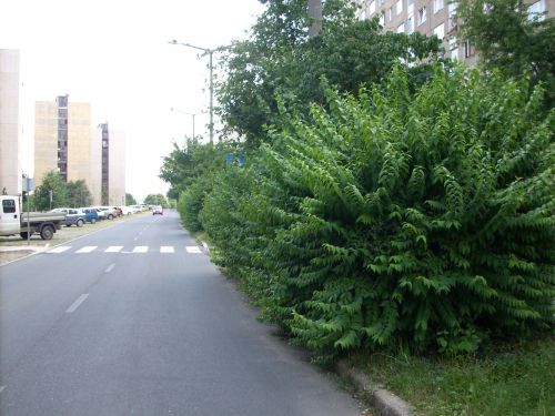 tabla_0725.csl2..jpg
