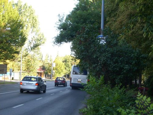 tablak120828_csl.jpg