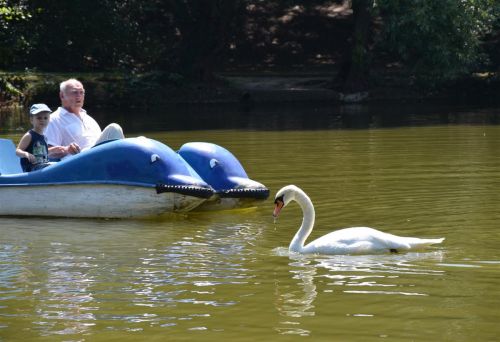 tapolca_to_130726_fkcs.jpg