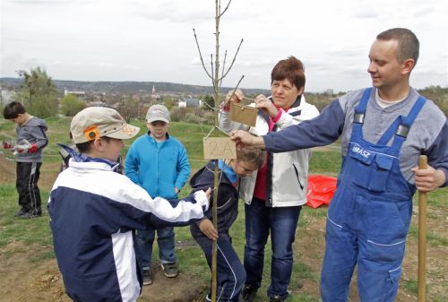 tavaszi_akcio_komlosteto_120413_ja_17.jpg
