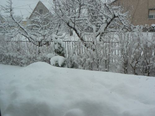 tavaszvan-130315.jpg