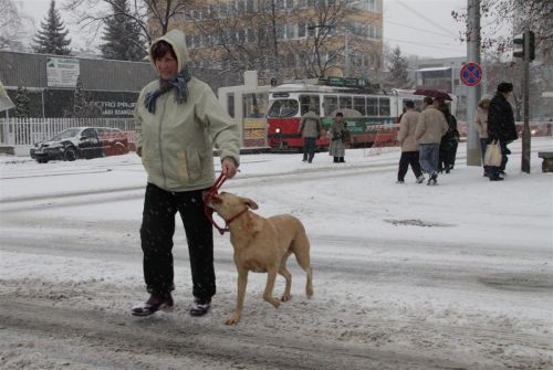 teli-kepek-120125ml_01.jpg