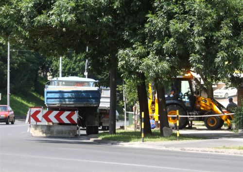 tereles_uitz_130617_ja_1.jpg