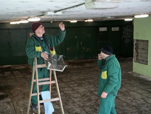 tiszai_aluljaro_130117ml_2.jpg