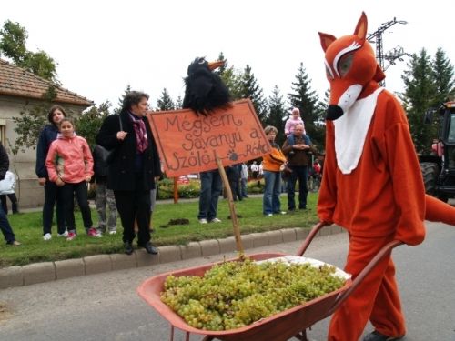 tokaj_szuretinapok_3.jpg