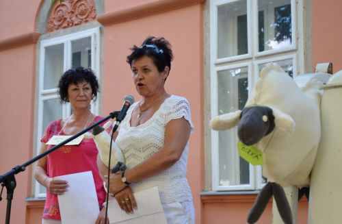 tuntetes_veresp_130712_fkcs_12.jpg