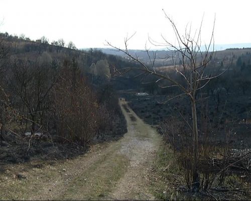 tuz120319.jpg