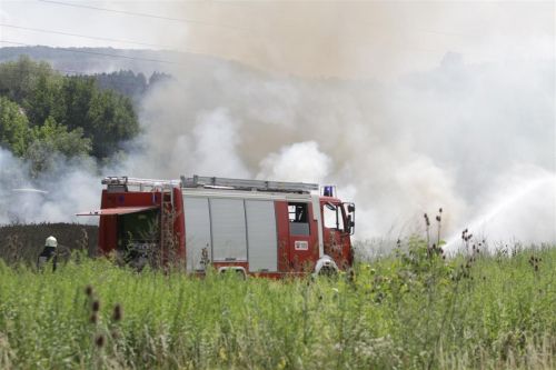 tuz_diosgyor_120704_ja.jpg