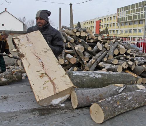 tuzelo_szondi_120214_ja.jpg