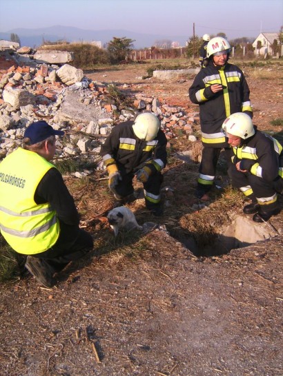 verembeesett_kutya_111024_tuz.jpg