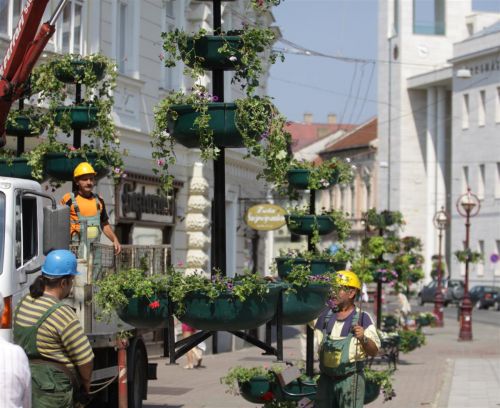 viragfak_120703_ja_2.jpg