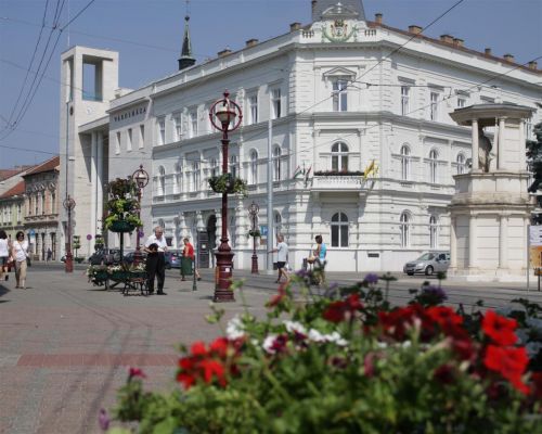 viragfak_120703_ja_8.jpg