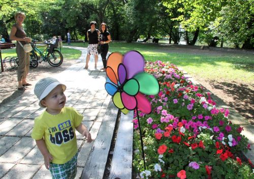 viragos_tapolca_120723ml_08.jpg