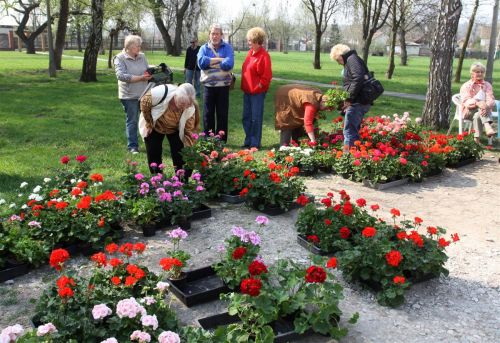 viragvasar_csobor_katalin_gonda_geza_130420_ja_1.jpg
