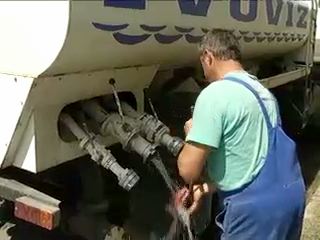 vizhiany_120731_tv-2.jpg