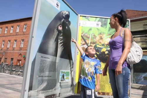 wwf_kiallitas_110810_ja_1.jpg