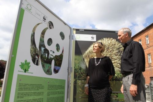 wwf_kiallitas_110810_ja_11.jpg