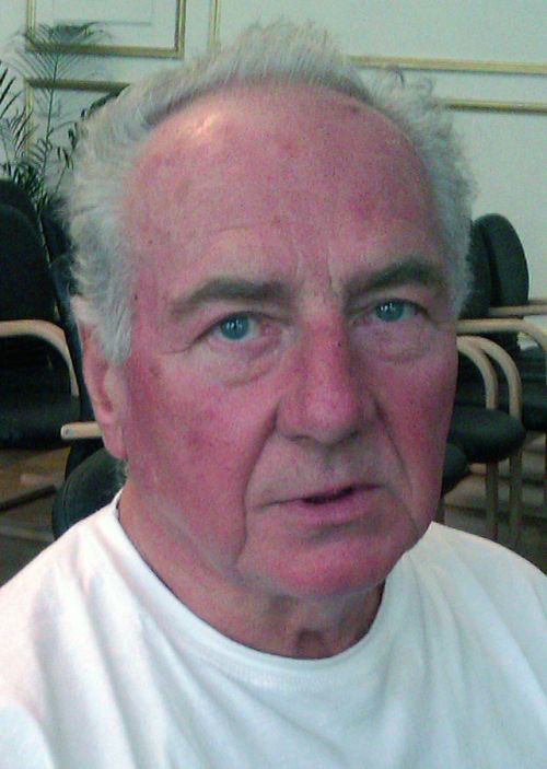 ziegler_gyorgy_stroke-130603.jpg