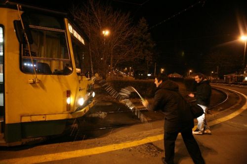 zoldnyil-majlath-elsojarat_fp.jpg
