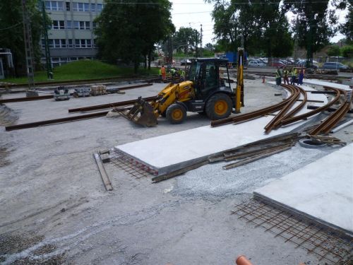 zoldnyil_110625.jpg