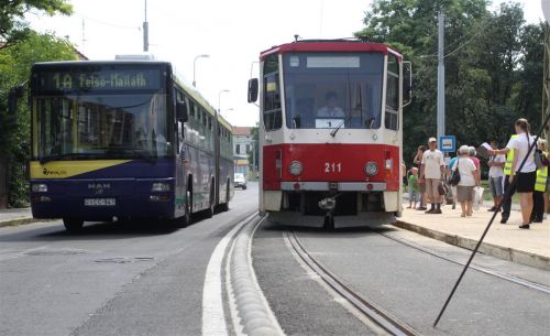 zoldnyil_malomszog_110616_ja_20.jpg