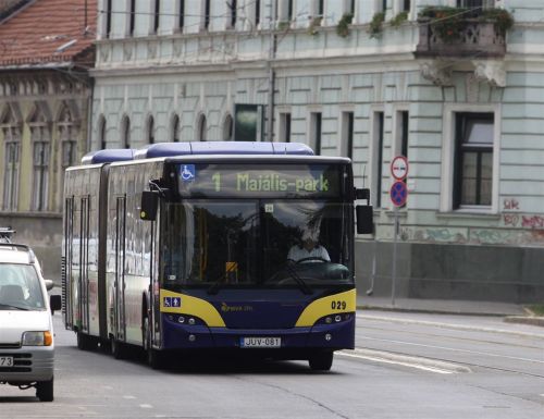 zoldnyil_malomszog_110616_ja_30.jpg