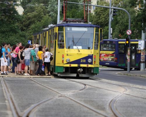 zoldnyil_malomszog_110616_ja_35.jpg