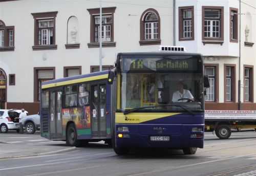 zoldnyil_malomszog_110616_ja_42.jpg