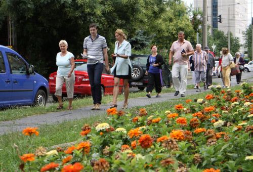 zsiga_korzetbejaras_130715ml_09.jpg