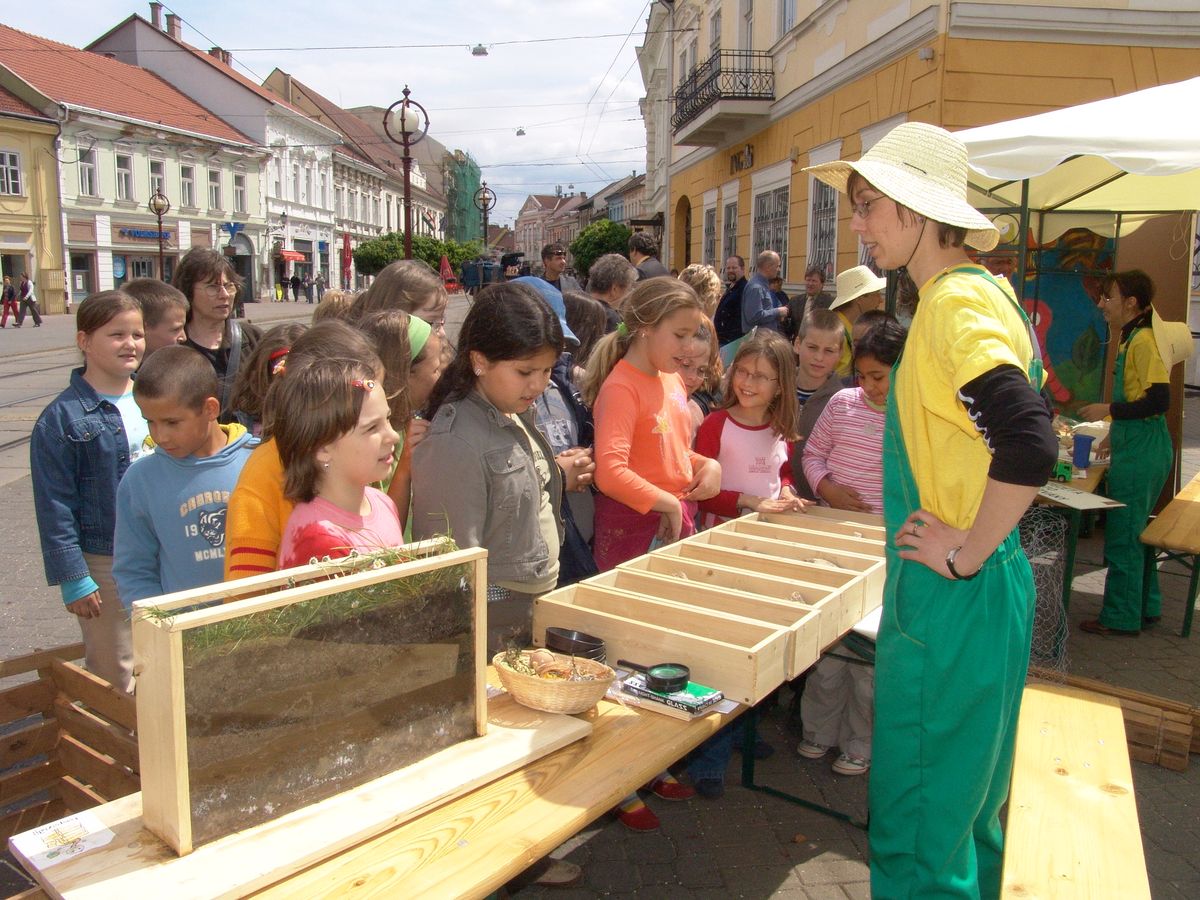 komposzt2.jpg