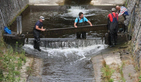 Fotók: Juhász Ákos