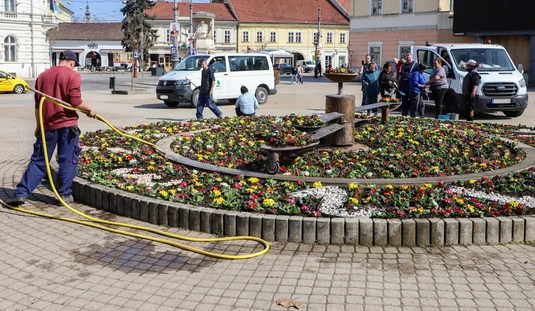 Kivirágzott a miskolci virágóra. Fotó: Mocsári László
