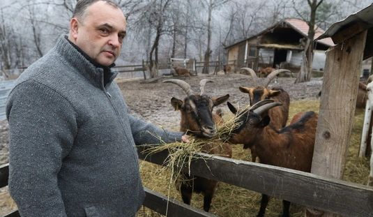 Segítséget kér a Baráthegyi Majorság 