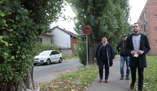 A Tátra és Torontáli utcai jegenyesor bejárása 