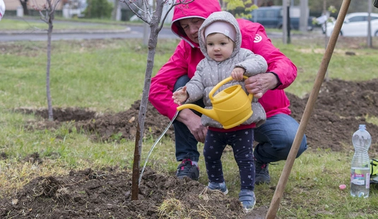 Ünnepélyes faültetés az Újszülöttek parkjában 