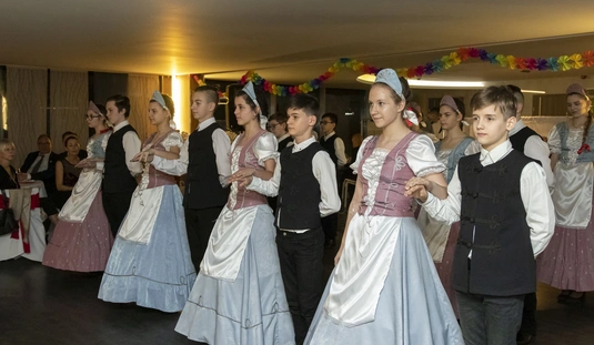 Vöröskereszt jótékonysági farsangi bál, 